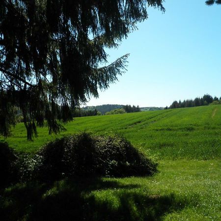 Blick In Die Suedeifel Biersdorf Eksteriør billede