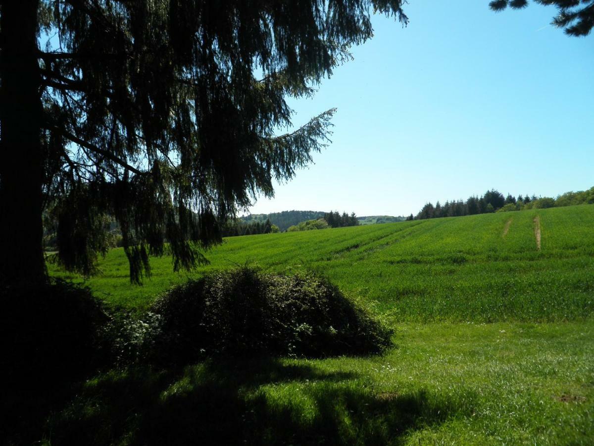 Blick In Die Suedeifel Biersdorf Eksteriør billede