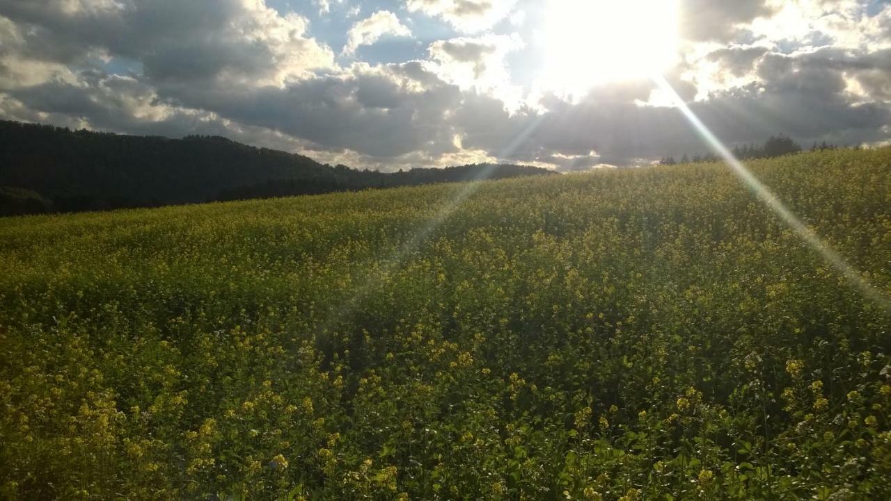 Blick In Die Suedeifel Biersdorf Eksteriør billede